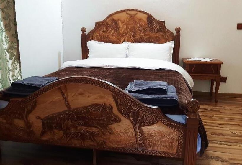 Pensão Hanul Vanatorului