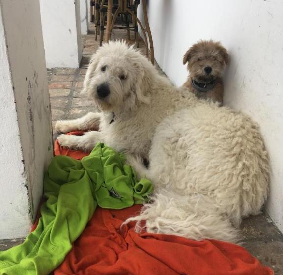 Пансион Home Vendégház