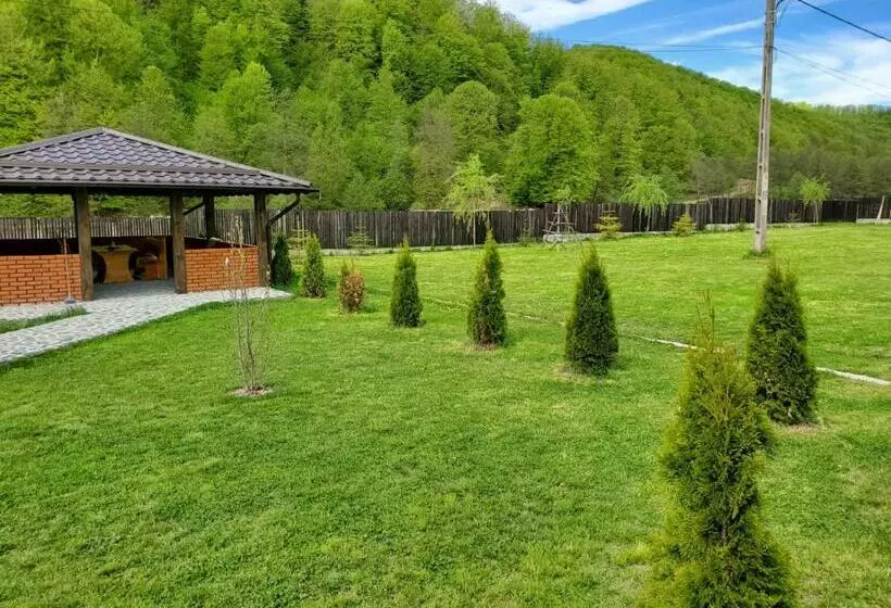 Pensiunea Perla Râușor