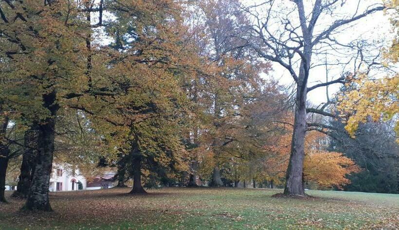 مبيت وإفطار Domaine De Marchal   Chambres Et Table D Hôtes