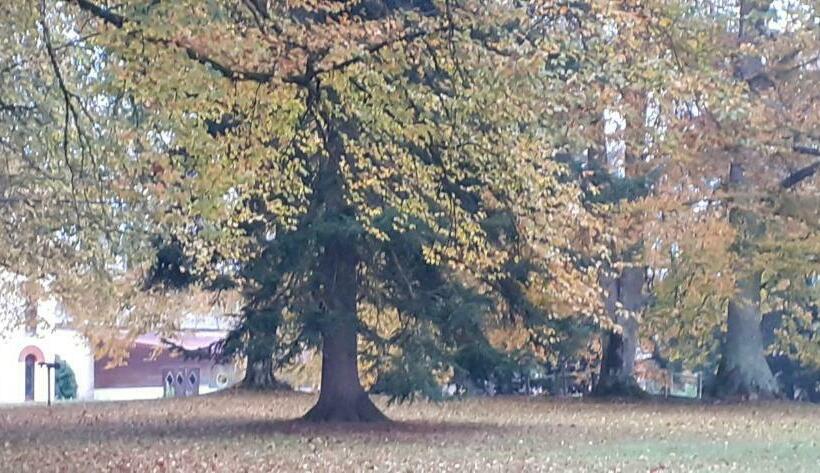 مبيت وإفطار Domaine De Marchal   Chambres Et Table D Hôtes