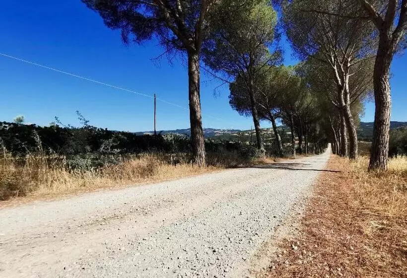 Aamiaismajoitus (B&B) Fattoria Della Sabatina