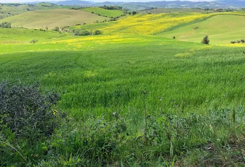 Aamiaismajoitus (B&B) Fattoria Della Sabatina
