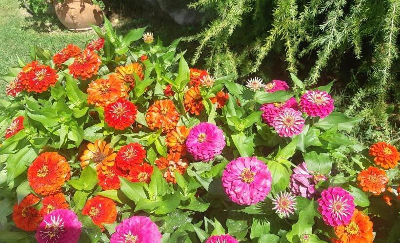 Bed and Breakfast L Isola Dla Cerrea