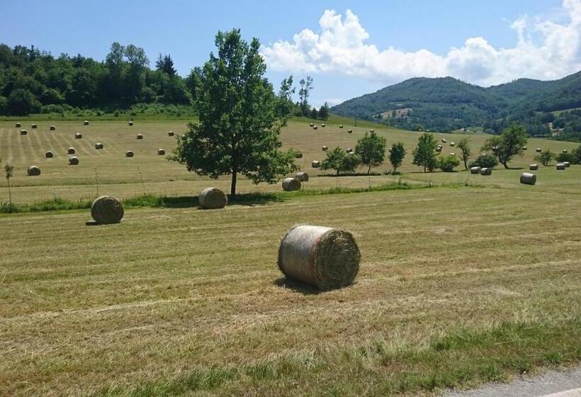 Bed and Breakfast L Isola Dla Cerrea