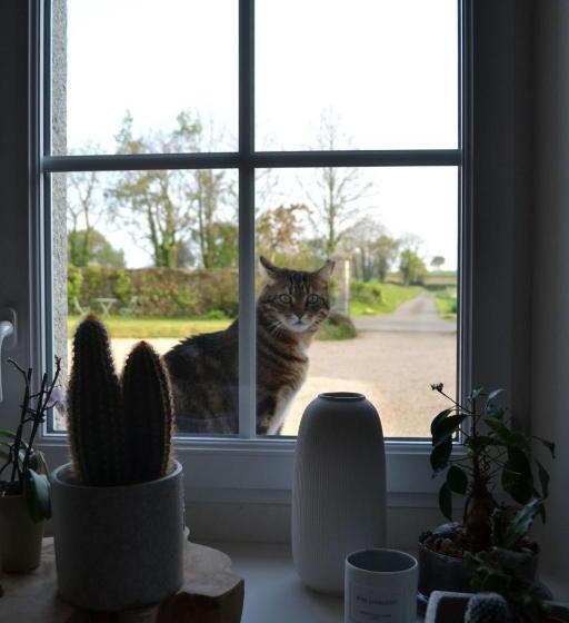 צימר La Métairie Du Rumain 2