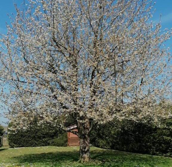 تختخواب و صبحانه Le Cerisier