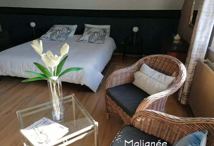 Aamiaismajoitus (B&B) Le Cerisier