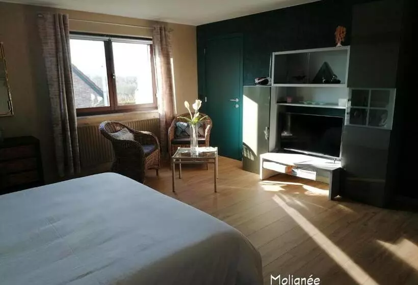 Aamiaismajoitus (B&B) Le Cerisier