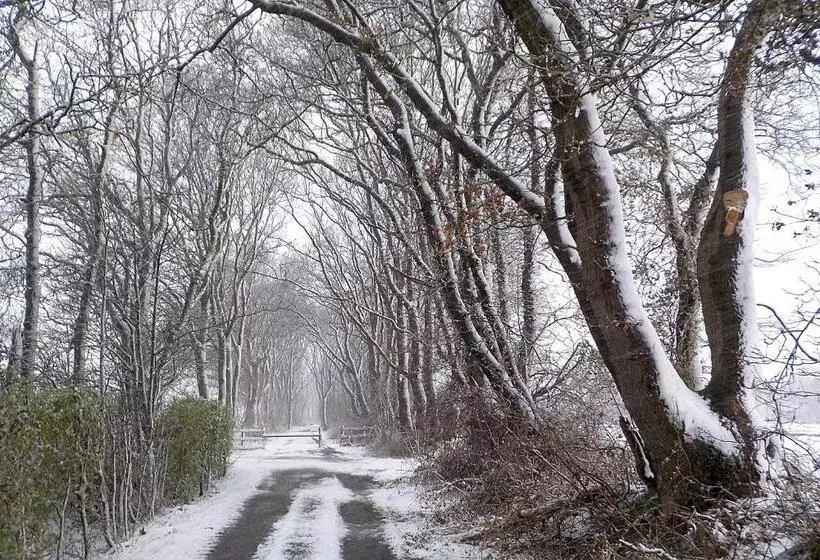 Aamiaismajoitus (B&B) Natuurhuisje  T Poepekrus