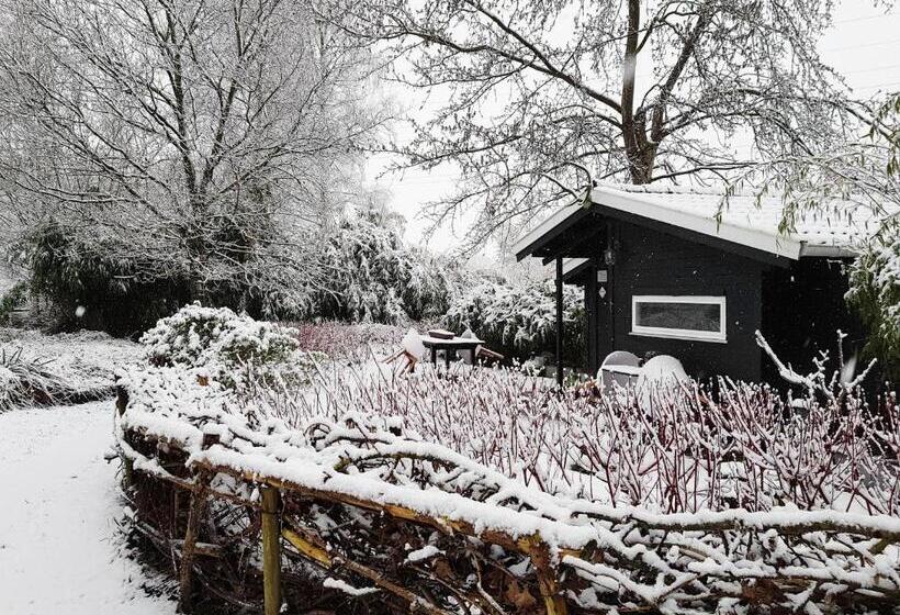 Bed and Breakfast Natuurhuisje T Poepekrus