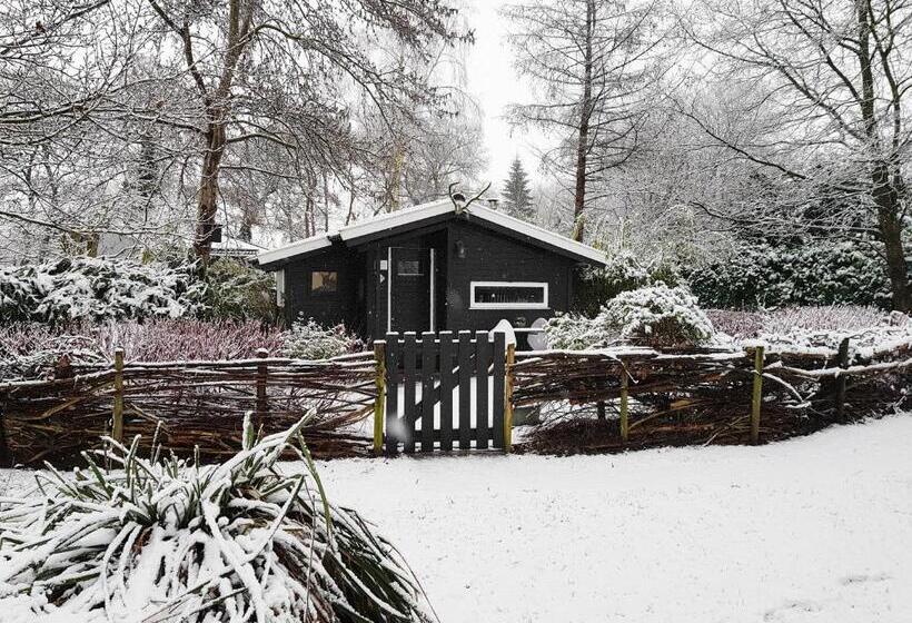 Bed and Breakfast Natuurhuisje T Poepekrus