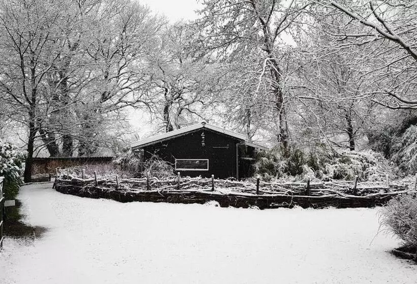 Aamiaismajoitus (B&B) Natuurhuisje  T Poepekrus