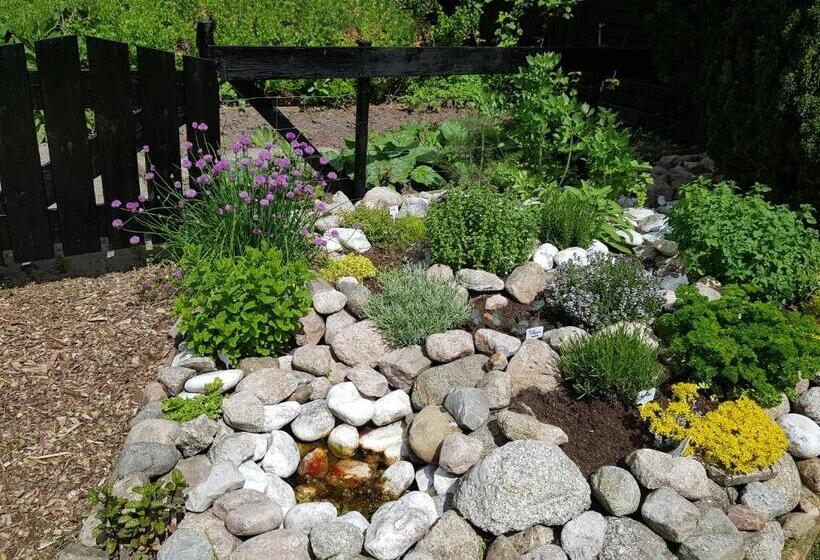 Bed and Breakfast Natuurhuisje T Poepekrus