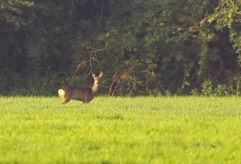 Aamiaismajoitus (B&B) Natuurhuisje  T Poepekrus