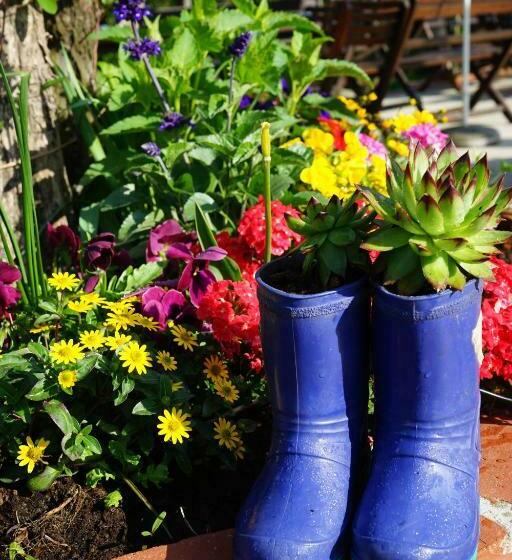 ベッドアンドブレックファースト Weingut Buschenschank Schneiderannerl