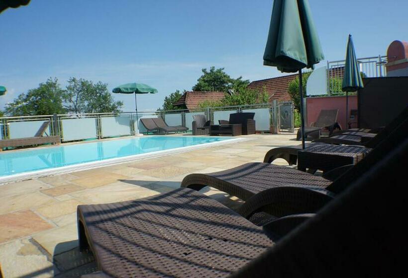 ベッドアンドブレックファースト Weingut Buschenschank Schneiderannerl