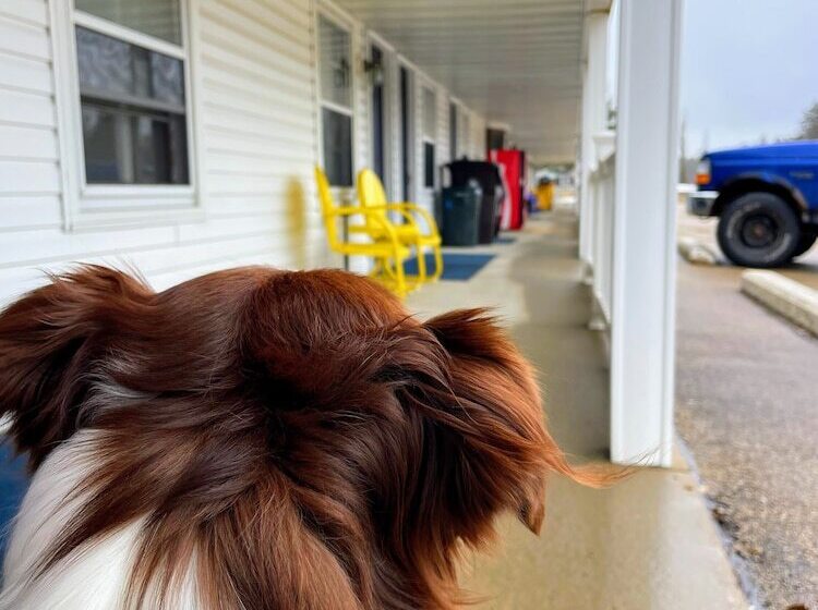 Hillcrest Inn & Motel