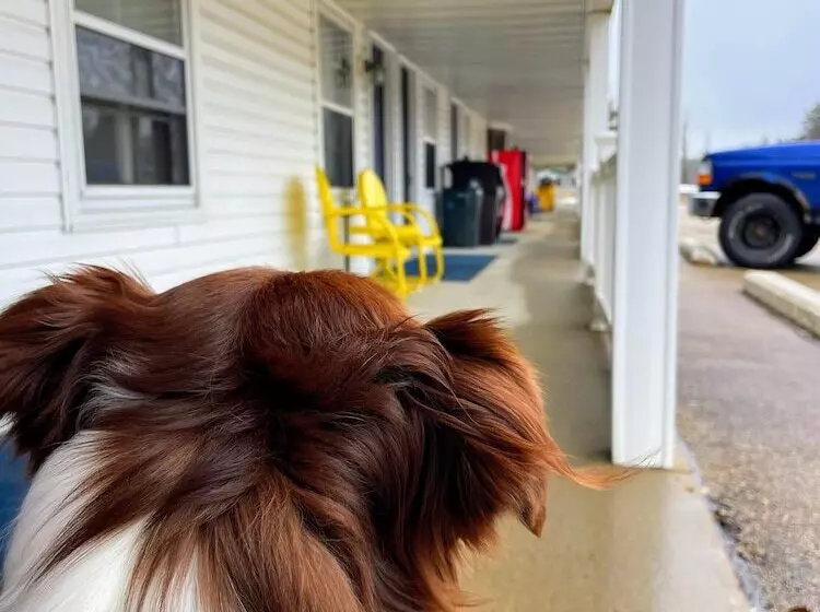 Hillcrest Inn & Motel