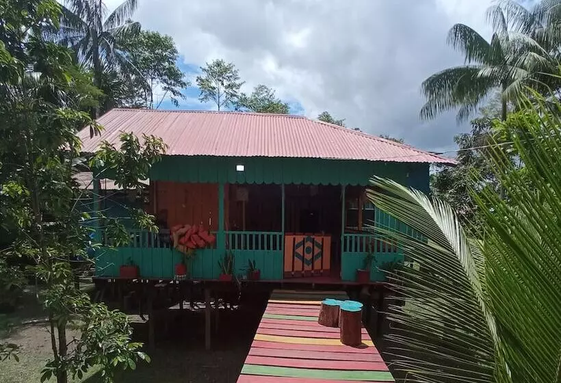 Hostal Búho Amazonas Tours   Hostel