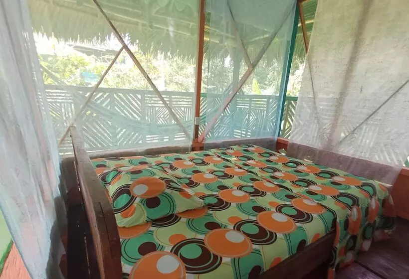 Hostal Búho Amazonas Tours   Hostel