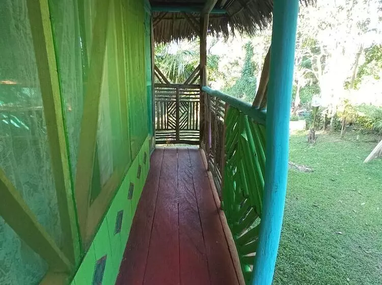 Hostal Búho Amazonas Tours   Hostel