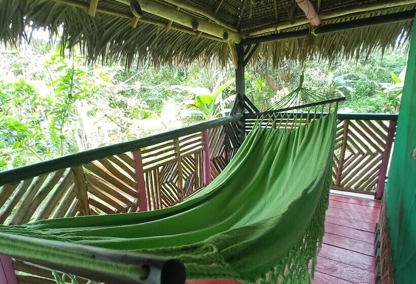 Hostal Búho Amazonas Tours   Hostel