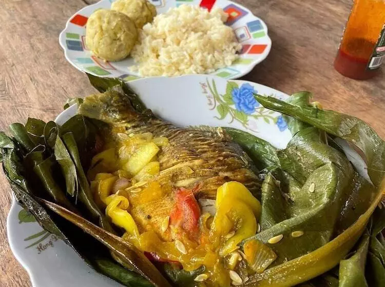 Hostal Búho Amazonas Tours   Hostel