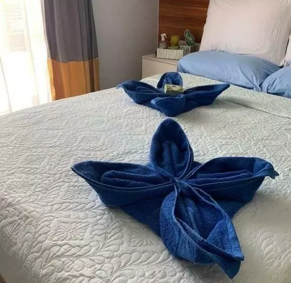 Neat And Cozy Minimalist Studio