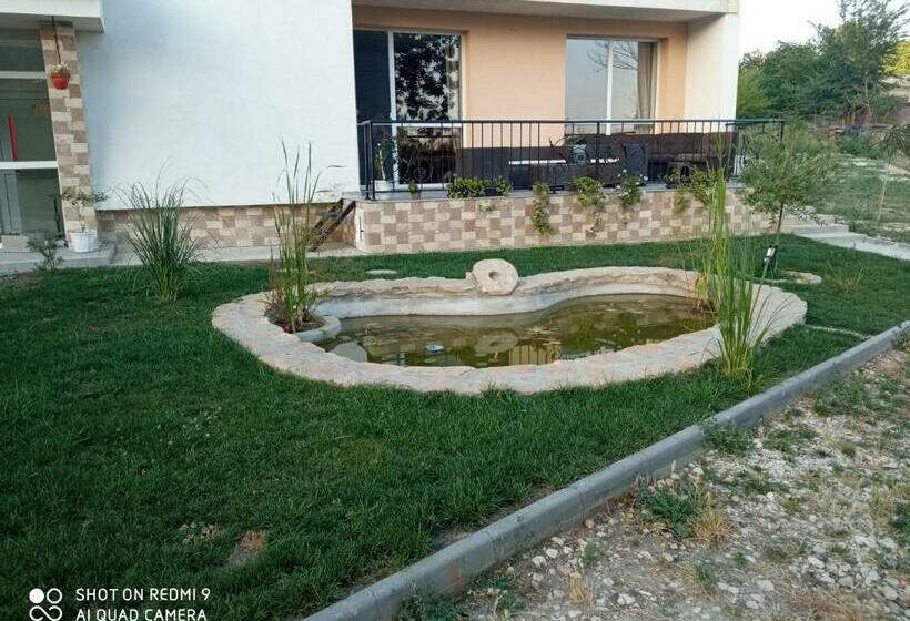 Pensão нощувки девня