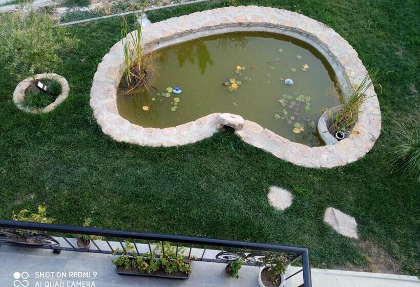 Pensão нощувки девня