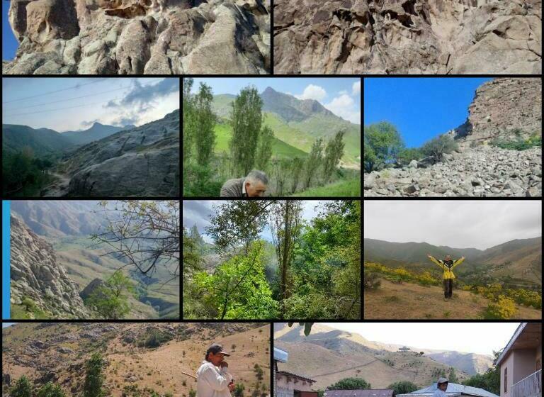 Pension Forest Guest House