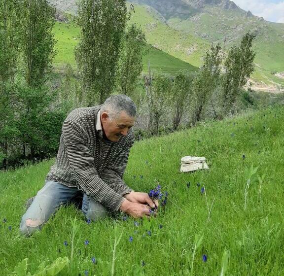 Pension Forest Guest House