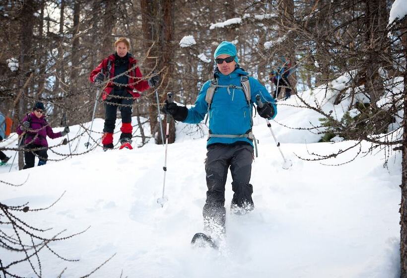 הוסטל Gîte Chalet La Vie Sauvage