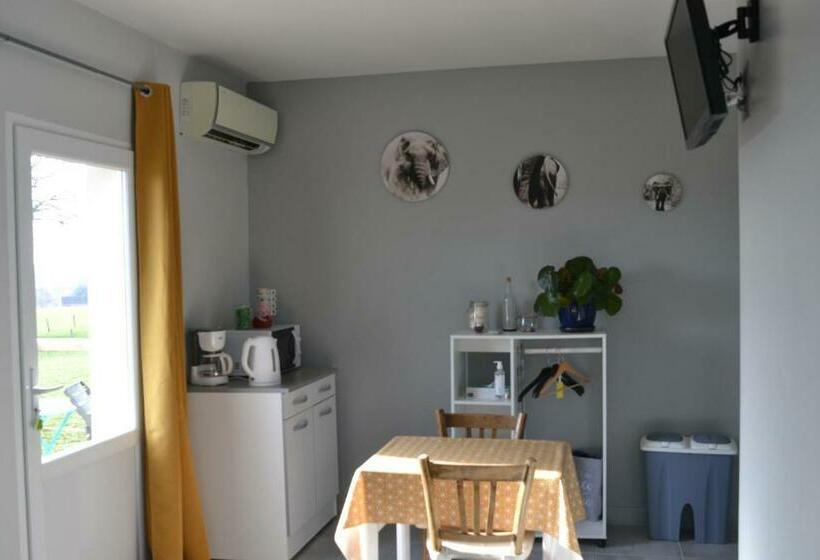 Bed and Breakfast Studio + Petite Terrasse Avec Vue