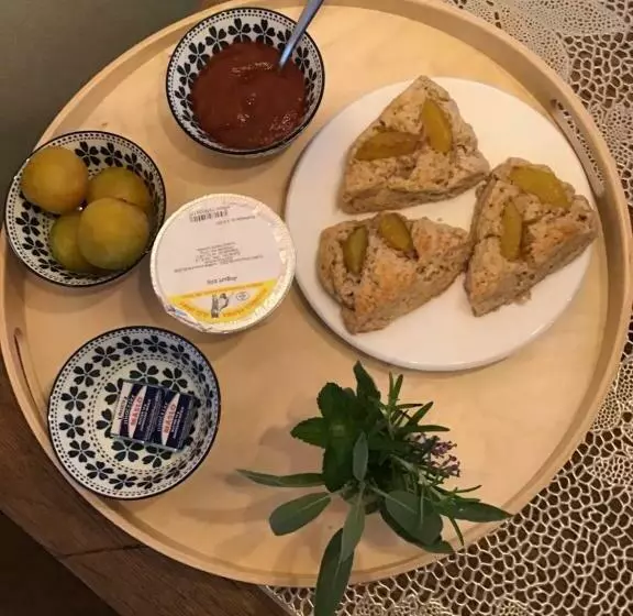 Aamiaismajoitus (B&B) U živlů