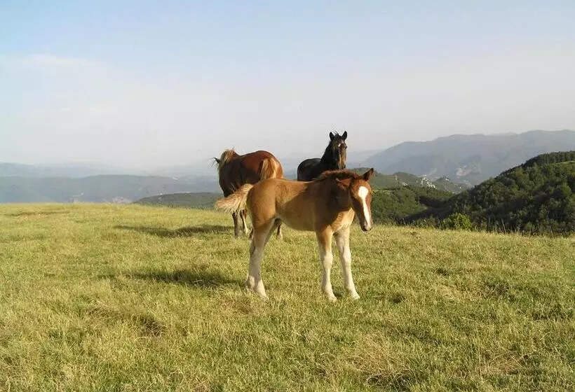 هتل Agriturismo Antico Castagno