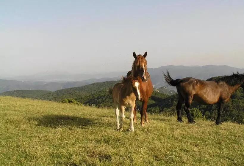 هتل Agriturismo Antico Castagno