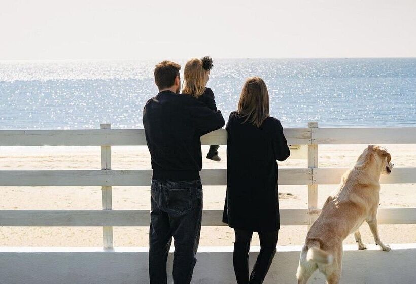 בית מלון כפרי Anxur Village Camping