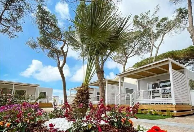 Hotelli Anxur Village Camping