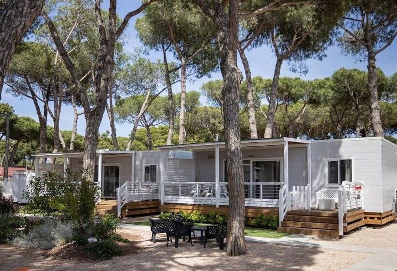 בית מלון כפרי Anxur Village Camping