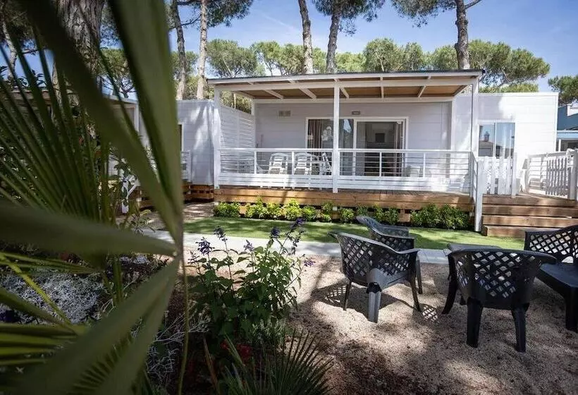 Hotelli Anxur Village Camping