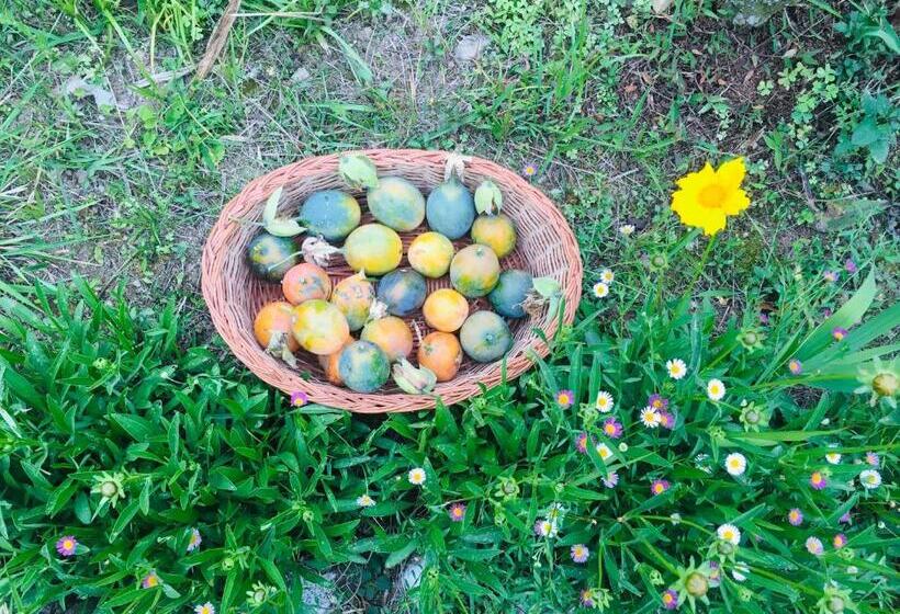 فندق Quo Vadis Farm