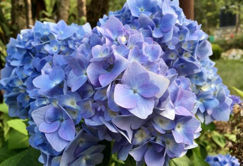 فندق Quo Vadis Farm