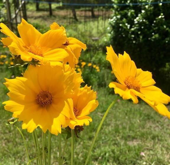 فندق Quo Vadis Farm