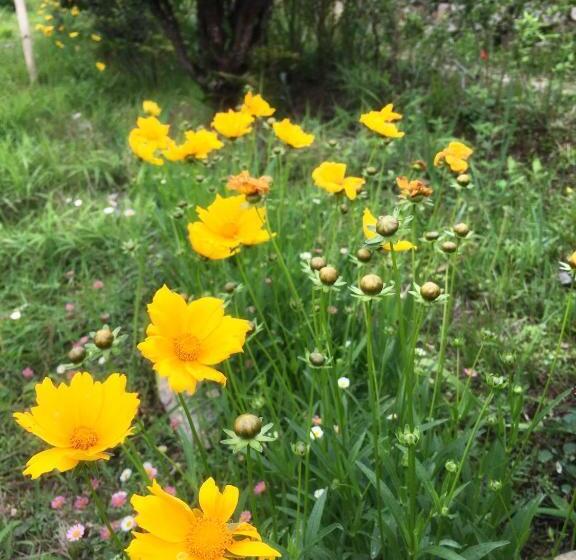 فندق Quo Vadis Farm