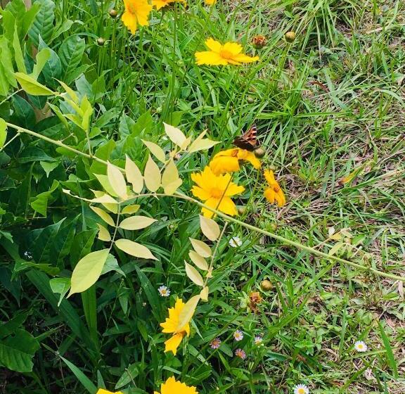 فندق Quo Vadis Farm