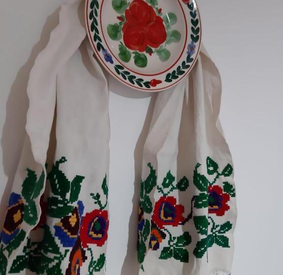 膳宿费 Casa Izbuc