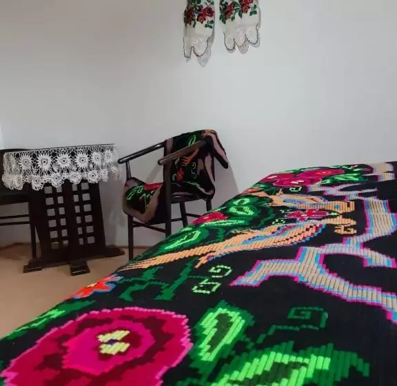 ペンション Casa Izbuc