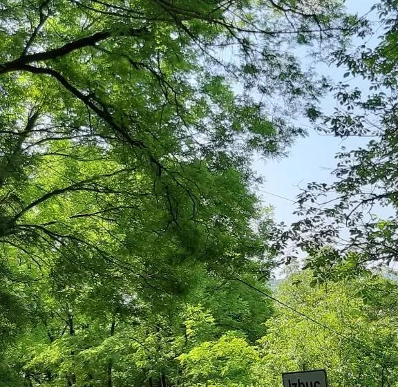 ペンション Casa Izbuc